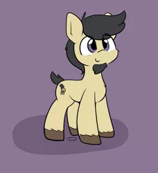 Size: 1005x1101 | Tagged: safe, artist:taurson, derpibooru import, oc, oc:gameburger, unofficial characters only, earth pony, pony, cute, eye clipping through hair, facial hair, goatee, looking up, male, short tail, smiling, solo