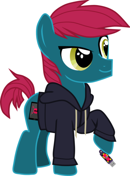Size: 1340x1817 | Tagged: safe, artist:shadymeadow, derpibooru import, oc, oc:web crusher, earth pony, pony, clothes, colt, hoodie, male, simple background, solo, transparent background, usb