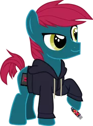 Size: 1340x1817 | Tagged: safe, artist:shadymeadow, derpibooru import, oc, oc:web crusher, earth pony, pony, clothes, colt, hoodie, male, simple background, solo, transparent background, usb