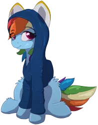 Size: 1010x1280 | Tagged: safe, artist:nighty, derpibooru import, rainbow dash, pegasus, pony, derpibooru community collaboration, 2021 community collab, clothes, colored pupils, ears, eye clipping through hair, female, fluffy, hoodie, leg fluff, looking at you, mare, simple background, sitting, smiling, solo, tail, transparent background, wings