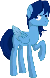 Size: 1881x2910 | Tagged: artist needed, safe, derpibooru import, oc, oc:moonbow dew, unofficial characters only, pegasus, pony, derpibooru community collaboration, 2021 community collab, male, raised hoof, simple background, solo, stallion, transparent background