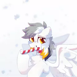Size: 1500x1500 | Tagged: safe, artist:mirtash, derpibooru import, oc, oc:kej, unofficial characters only, pegasus, pony, candy, candy cane, food, solo