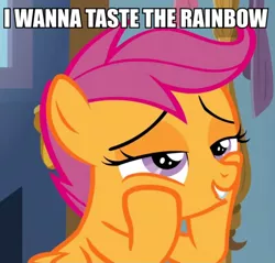 Size: 692x661 | Tagged: episode needed, safe, derpibooru import, edit, edited screencap, screencap, scootaloo, caption, cropped, image macro, implied lesbian, implied scootadash, implied shipping, solo, text