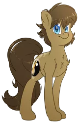 Size: 2900x4500 | Tagged: safe, artist:fluffyxai, derpibooru import, oc, oc:spirit wind, unofficial characters only, earth pony, pony, derpibooru community collaboration, 2021 community collab, chest fluff, fluffy, looking at you, male, simple background, smiling, solo, stallion, standing, transparent background