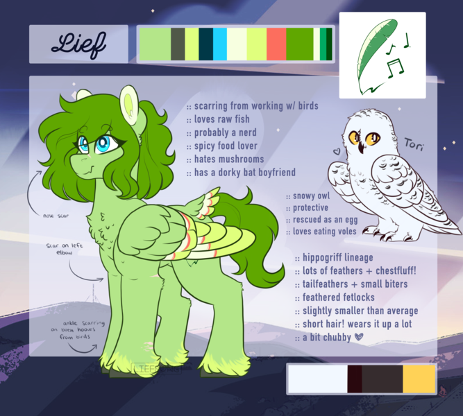 Size: 3000x2700 | Tagged: artist:liefsong, bird, chest fluff, colored wings, cutie mark, derpibooru import, feathered fetlocks, hippogriff, multicolored wings, oc, oc:lief, oc:tori, owl, pet, reference sheet, safe, scar, snowy owl, solo, tail feathers, unofficial characters only, wings