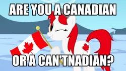 Size: 900x506 | Tagged: safe, artist:bootsyslickmane, derpibooru import, oc, oc:canadance, ponified, unofficial characters only, pony, canada, caption, flag, image macro, nation ponies, pun, snow, solo, text