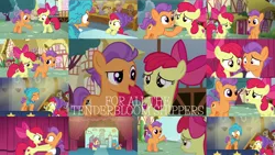 Size: 1948x1096 | Tagged: alula, apple bloom, button mash, carrot top, cherry berry, cherry spices, derpibooru import, dinky hooves, doctor whooves, edit, edited screencap, editor:quoterific, female, golden harvest, lily, lily valley, lotus blossom, male, mango dash, on your marks, roseluck, ruby pinch, safe, screencap, shipping, straight, tenderbloom, tender taps, time turner