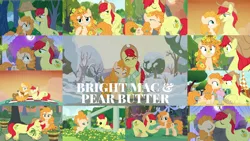 Size: 1978x1113 | Tagged: safe, derpibooru import, edit, edited screencap, editor:quoterific, screencap, bright mac, pear butter, the perfect pear, apple, apple tree, brightbutter, clothes, female, fence, food, guitar, male, mare in the moon, moon, musical instrument, pear tree, picnic blanket, rain, scarf, shared clothing, shared scarf, shipping, snow, straight, tree