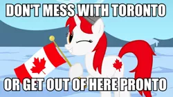 Size: 900x506 | Tagged: safe, artist:bootsyslickmane, derpibooru import, oc, oc:canadance, ponified, unofficial characters only, pony, canada, caption, female, flag, hat, image macro, looking at you, mare, nation ponies, one eye closed, pun, smiling, snow, solo, text, toronto, wink