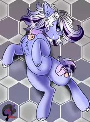 Size: 2016x2728 | Tagged: safe, artist:brainiac, derpibooru import, oc, oc:whiskey lullaby, cat, cat pony, original species, pony, bell, bell collar, chest fluff, collar, female, mare, pregnant, solo, unshorn fetlocks