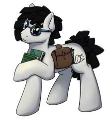 Size: 1660x1860 | Tagged: safe, artist:luther, derpibooru import, oc, oc:gear crunch, unofficial characters only, earth pony, derpibooru community collaboration, 2021 community collab, bag, male, saddle bag, simple background, smiling, solo, standing, transparent background