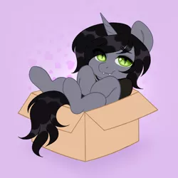 Size: 1000x1000 | Tagged: safe, artist:tookiut, derpibooru import, oc, ponified, ponified:kellin quinn, pony, unicorn, box, clothes, commission, disguise, disguised siren, fangs, horn, jewelry, looking at you, lying down, male, necklace, on back, pony in a box, shirt, sleeping with sirens, slit eyes, smiling, solo, stallion, t-shirt, ych result