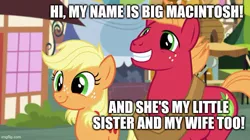 Size: 739x415 | Tagged: applecest, applejack, applemac, big macintosh, derpibooru import, edit, edited screencap, female, incest, male, safe, screencap, shipping, straight, text, where the apple lies