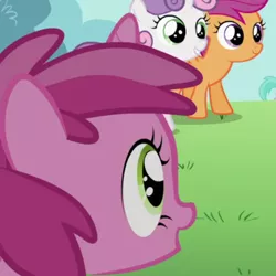 Size: 768x768 | Tagged: safe, derpibooru import, screencap, aura (character), ruby pinch, scootaloo, sweetie belle, pegasus, pony, unicorn, the cutie pox, cute, female, filly, offscreen character, pinchybetes, smiling, solo focus