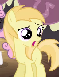Size: 531x692 | Tagged: safe, derpibooru import, screencap, noi, sweetie belle, earth pony, pony, simple ways, appalled, banner, female, filly, horseshoes, noishock, offscreen character, shocked, solo, solo focus