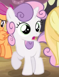 Size: 531x692 | Tagged: safe, derpibooru import, screencap, noi, scootaloo, sweetie belle, earth pony, pegasus, pony, unicorn, simple ways, appalled, banner, female, filly, folded wings, horseshoes, offscreen character, shocked, solo, solo focus, sweetieshock, wings