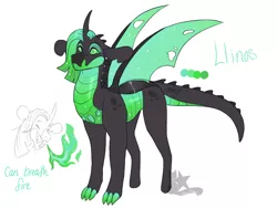 Size: 800x600 | Tagged: safe, artist:arexstar, derpibooru import, oc, oc:llinos, dragonling, hybrid, interspecies offspring, magical gay spawn, offspring, parent:spike, parents:thoraxspike, parent:thorax, simple background, solo, white background