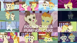 Size: 1968x1109 | Tagged: 28 pranks later, a flurry of emotions, a friend in deed, baby cakes, cookie zombie, derpibooru import, edit, edited screencap, editor:quoterific, it isn't the mane thing about you, older, older pound cake, older pumpkin cake, on your marks, pound cake, pumpkin cake, safe, screencap, the last problem