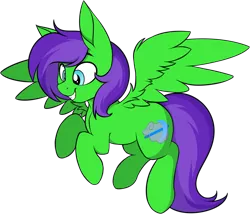 Size: 1052x900 | Tagged: safe, artist:notetaker, derpibooru import, oc, oc:raulix evergreen, unofficial characters only, pegasus, pony, green body, grin, gritted teeth, male, purple hair, simple background, smiling, solo, transparent background, wings