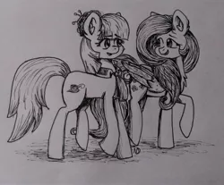 Size: 3578x2961 | Tagged: safe, artist:nightydream, derpibooru import, coco pommel, fluttershy, pony, monochrome, traditional art