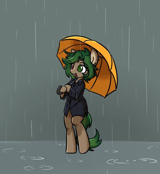 Size: 1306x1414 | Tagged: safe, artist:spheedc, derpibooru import, oc, oc:ame, unofficial characters only, earth pony, pony, semi-anthro, unicorn, bipedal, clothes, digital art, female, mare, rain, simple background, umbrella