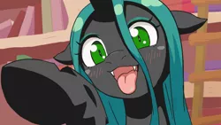 Size: 960x540 | Tagged: safe, artist:siagia, derpibooru import, edit, queen chrysalis, changeling, changeling queen, adorable face, animated at source, blushing, cel shading, cute, cute little fangs, cutealis, fangs, female, floppy ears, hnnng, imminent boop, library, looking at you, open mouth, raised hoof, shading, silly, silly changeling, smiling, solo, tongue out, underhoof, weapons-grade cute