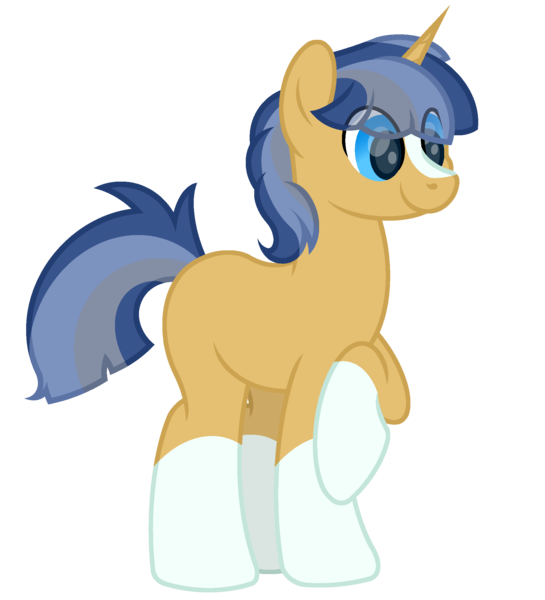 Size: 2000x2200 | Tagged: safe, artist:ponkus, derpibooru import, oc, oc:socks, pony, unicorn, male, solo, stallion