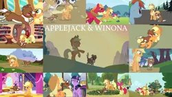 Size: 1978x1113 | Tagged: safe, derpibooru import, edit, edited screencap, editor:quoterific, screencap, apple bloom, applejack, big macintosh, rainbow dash, twilight sparkle, winona, applebuck season, do princesses dream of magic sheep, going to seed, just for sidekicks, may the best pet win, the last roundup, too many pinkie pies, apple, apple tree, food, golden oaks library, library, tree