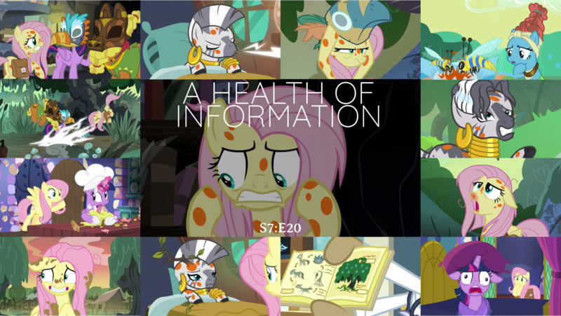 Size: 1978x1114 | Tagged: safe, derpibooru import, edit, edited screencap, editor:quoterific, screencap, cattail, doctor muffin top, fluttershy, meadowbrook, twilight sparkle, twilight sparkle (alicorn), zecora, alicorn, bee, flash bee, insect, pegasus, pony, zebra, a health of information, bag, bolt, book, chef, chef's hat, grin, gritted teeth, hat, lightning, messy mane, mud, muddy, nervous, nervous grin, open mouth, saddle bag, smiling, swamp fever, tired eyes
