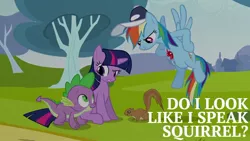 Size: 1000x563 | Tagged: safe, derpibooru import, edit, edited screencap, editor:quoterific, screencap, rainbow dash, spike, twilight sparkle, dragon, pegasus, pony, squirrel, unicorn, hurricane fluttershy, coach rainbow dash, hat, rainbow dash is not amused, twilight is not amused, unamused, unicorn twilight, whistle