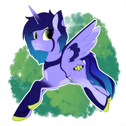 Size: 2500x2500 | Tagged: safe, artist:starlight, derpibooru import, pony, commission, fullbody