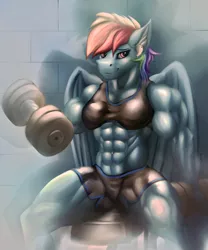 Size: 2100x2520 | Tagged: suggestive, artist:rizzyofen, derpibooru import, rainbow dash, anthro, pegasus, abs, barbell, belly button, biceps, bodybuilder, bra, breasts, buff, clothes, ear fluff, female, fit, gym, gym uniform, image, jewelry, looking at you, muscles, muscular female, piercing, png, rainbuff dash, sexy, sitting, smiling, smirk, solo, solo female, sports bra, underwear, workout, workout outfit