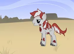 Size: 900x650 | Tagged: safe, artist:urmi charpstin, derpibooru import, oc, oc:lightningcloud, pegasus, pony, fallout equestria, fanfic:fallout equestria: lightning strikes twice, pony creator, cutie mark, fallout, freckles, gray coat, male, pattern, red spots, solo, stallion, two toned mane, two toned tail, wasteland