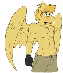 Size: 2000x2321 | Tagged: abs, anthro, artist:coatieyay, blushing, breath, breathing, chest fluff, clothes, derpibooru import, fingerless gloves, gloves, high res, looking at you, male, muscles, oc, oc:radar burst, pants, partial nudity, pecs, pegasus, safe, shoulder fluff, solo, sweat, topless, unofficial characters only, wings