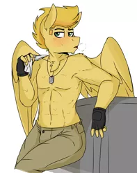 Size: 2000x2541 | Tagged: safe, artist:coatieyay, derpibooru import, oc, oc:radar burst, unofficial characters only, anthro, pegasus, abs, breath, chest fluff, chin fluff, clothes, dog tags, fingerless gloves, gloves, male, pants, partial nudity, pecs, shoulder fluff, sweat, topless, towel, workout