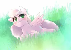 Size: 2048x1430 | Tagged: safe, artist:kurogewapony, derpibooru import, oc, oc:moff cloud, unofficial characters only, pegasus, pony, blushing, female, grass, mare, simple background, smiling, solo, spread wings, wings