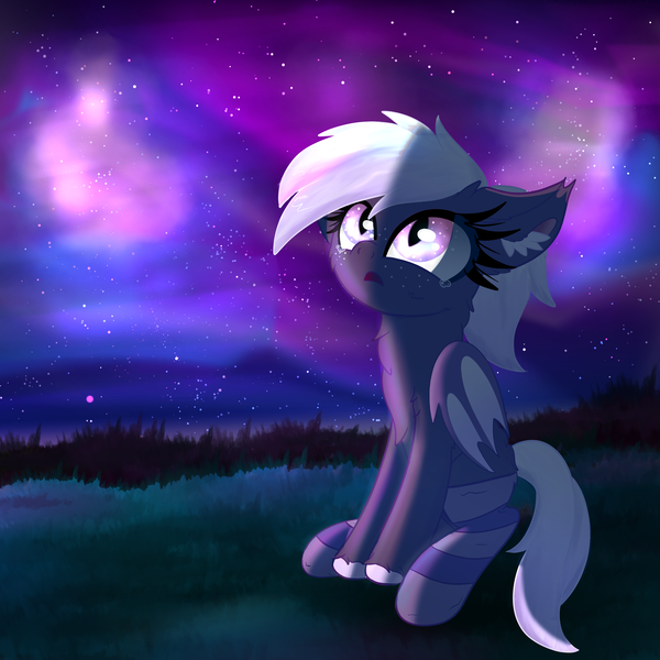 Size: 4000x4000 | Tagged: safe, artist:windy-pony, derpibooru import, oc, oc:proxi, bat pony, awestruck, bat pony oc, bat wings, clothes, ear fluff, female, night, sitting, socks, solo, stars, teary eyes, wings