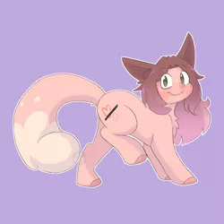 Size: 1300x1300 | Tagged: safe, artist:sinamuna, derpibooru import, oc, oc:cinnamon fawn, chinchilla, hybrid, pony, big ears, blushing, brown hair, cutie mark, fluffy hair, fluffy mane, fluffy tail, green eyes, hazel eyes, long hair, pink hair, pink hooves, purple background, simple background, smiling, solo, tail