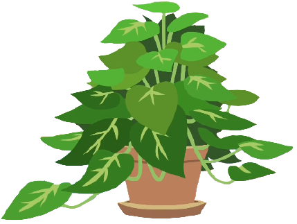 Size: 429x323 | Tagged: background removed, derpibooru import, philodendron, phyllis, plant, potted plant, safe, simple background, solo, transparent background