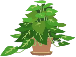 Size: 429x323 | Tagged: background removed, derpibooru import, philodendron, phyllis, plant, potted plant, safe, simple background, solo, transparent background