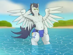 Size: 6666x5000 | Tagged: suggestive, artist:tacomytaco, derpibooru import, soarin', pegasus, pony, semi-anthro, bare chest, belly button, bipedal, clothes, crotch bulge, male, smiling, smirk, solo, solo male, speedo, spread wings, sweat, swimsuit, water, wet, wings