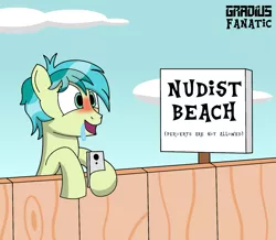 Size: 1329x1161 | Tagged: suggestive, artist:gradiusfanatic, derpibooru import, sandbar, earth pony, pony, beach, funny, funny as hell, male, mobile phone, nude beach, phone, smartphone, we don't normally wear clothes