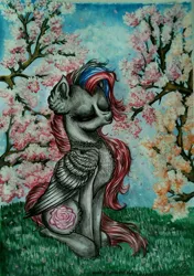 Size: 425x604 | Tagged: safe, artist:maryhoovesfield, derpibooru import, oc, unofficial characters only, pegasus, pony, cherry tree, chest fluff, ear fluff, eyelashes, eyes closed, female, flower, grass, mare, outdoors, pegasus oc, signature, sitting, solo, traditional art, tree, wings