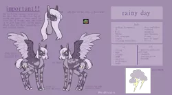 Size: 2709x1500 | Tagged: safe, artist:birdbiscuits, derpibooru import, oc, oc:rainy day, pegasus, pony, female, mare, reference sheet, solo, two toned wings, wings