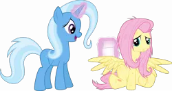 Size: 16480x8736 | Tagged: absurd resolution, artist:rainbownspeedash, bandage, derpibooru import, fluttershy, injured, safe, trixie