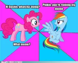Size: 500x408 | Tagged: safe, derpibooru import, pinkie pie, rainbow dash, earth pony, pegasus, pony, annoyed, caption, dialogue, duo, female, image, image macro, jpeg, looking at each other, mare, meme, meta, mylittlebrony.com, text
