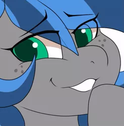 Size: 663x673 | Tagged: safe, artist:littlebibbo, derpibooru import, oc, oc:bibbo, unofficial characters only, pegasus, pony, close-up, eye clipping through hair, female, freckles, image, jpeg, looking at you, mare, raised hoof, smiling, smug, solo, stare