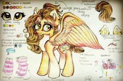 Size: 720x478 | Tagged: safe, artist:maryhoovesfield, derpibooru import, oc, unofficial characters only, pegasus, pony, chest fluff, choker, clothes, cyrillic, ear fluff, eyelashes, flower, image, jpeg, pegasus oc, reference sheet, rose, russian, signature, smiling, socks, solo, striped socks, traditional art, wings