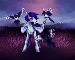 Size: 2500x2000 | Tagged: safe, artist:firewoodtemple, derpibooru import, soarin', bird, magpie, image, png, solo