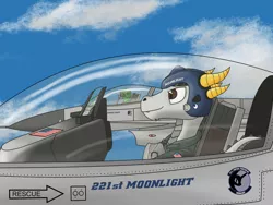 Size: 1280x960 | Tagged: safe, artist:zocidem, derpibooru import, oc, oc:nugget, oc:wrench, unofficial characters only, dragon, earth pony, pony, airforce, clothes, cockpit, f-16, f-16 fighting falcon, f16 viper, flag, helmet, image, jet, jet fighter, jpeg, uniform, united states